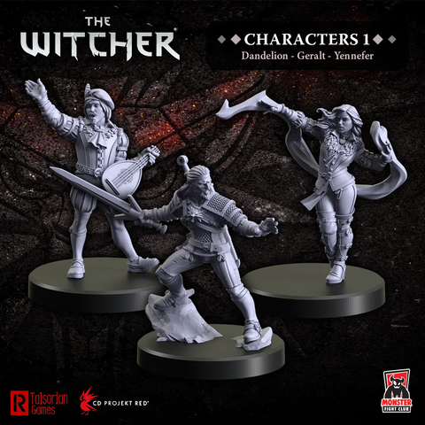 The Witcher RPG Minis: Character 1