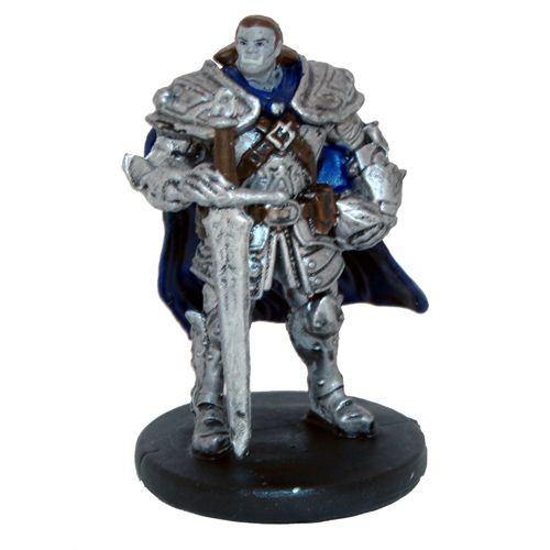 Half-Orc Paladin (15/55)