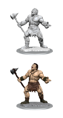Nolzur's Marvelous Miniatures: Cyclops