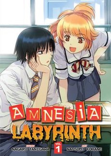 Amnesia Labyrinth GN Vol 1