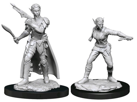 Nolzur's Marvelous Miniatures: Shifter Rogue Female
