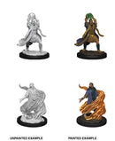 Nolzur's Marvelous Miniatures:  Male Elf Sorcerer