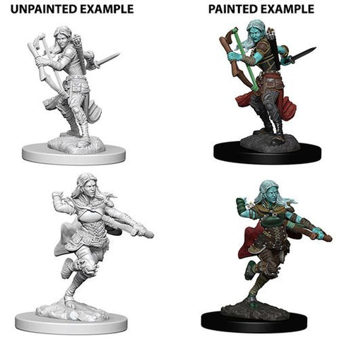 Nolzur's Marvelous Miniatures: Air Genasi Female Rogue