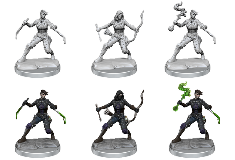 Dungeons & Dragons Frameworks: Human Rogue
