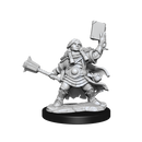 Dungeons & Dragons Frameworks: Dwarf Cleric