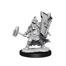 Dungeons & Dragons Frameworks: Dwarf Cleric