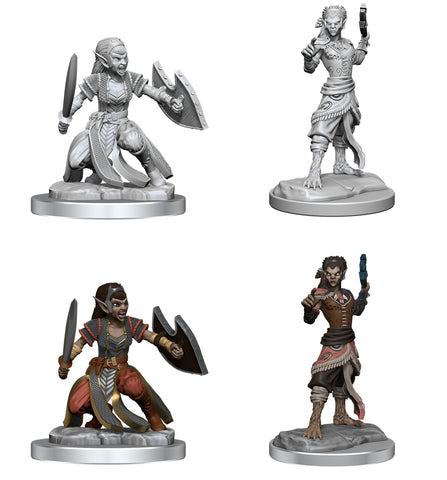 Nolzur's Marvelous Miniatures: Shifter Fighter