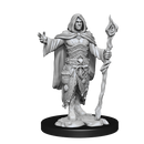 Nolzur's Marvelous Miniatures: Human Druid Male