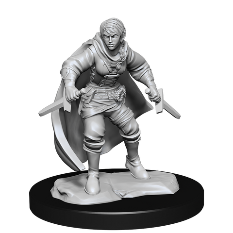 Nolzur's Marvelous Miniatures: Half-Elf Rogue Female