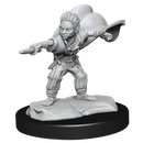 Pathfinder Battles Deep Cuts: Male Halfling Wizard