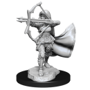 Nolzur's Marvelous Miniatures: Air Genasi