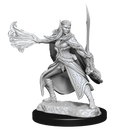 Nolzur's Marvelous Miniatures: Winter Eladrin and Spring Eladrin