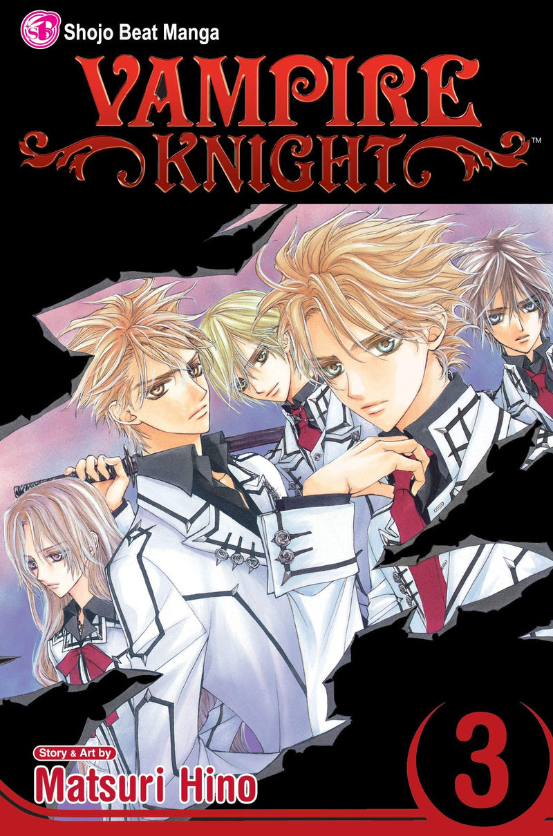 Vampire Knight GN Vol 04