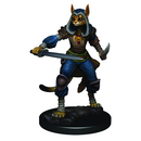 Icons of the Realms: Tabaxi Female Rogue