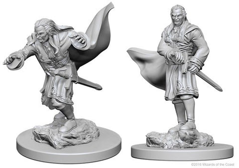 Nolzur's Marvelous Miniatures: Vampires
