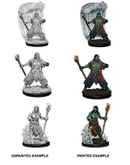 Nolzur's Marvelous Miniatures: Water Genasi Male Druid