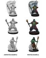 Nolzur's Marvelous Miniatures: Water Genasi Male Druid
