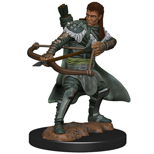 Icons of the Realms: Male Human Ranger